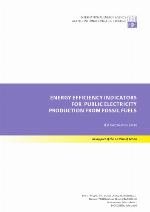 Energy Efficiency Indicators for Public Electricity Production from Fossil Fuels