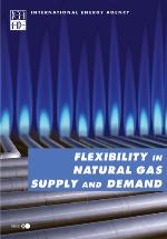 Flexibility in Natural Gas