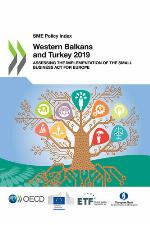 SME Policy Index for the Western Balkans and Turkey 2019 : assessing the implementation of the Small Business Act for Europe.