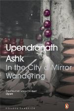 In the City a Mirror Wandering