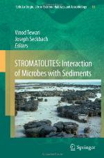 Stromatolites