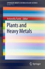 Plants and heavy metals