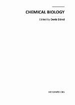 Polysialylation of The Neural Cell Adhesion Molecule Setting The Stage For Plasticity Across Scales of Biological organization