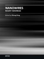 Hybrid Silicon Nanowires From Basic Research To Applied Nanotechnology