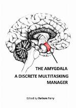 The Irritable Bowel Syndrome How Stress Can Affect The Amygdala Activity and The Brain-Gut Axis
