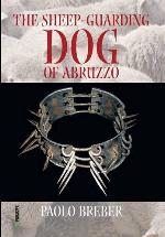 The sheep-guarding dog of Abruzzo