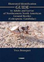 Illustrated identification guide to adults and larvae of northeastern North American ground beetles (Coleoptera, Carabidae)