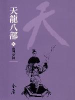 天龍八部9：會鬥少林