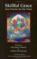 Skillful Grace