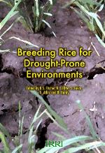 Breeding rice for drought-prone environments