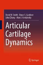 Articular cartilage dynamics