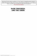 Bank Indonesia and the Crisis