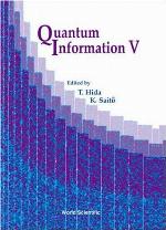 Quantum Information, V