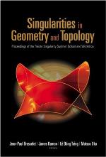 Singularities In Geometry And Topology : Proceedings of the Trieste Singularity Summer School and Workshop.