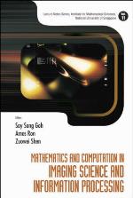 Mathematics and computation in imaging science and information processing