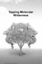 Tapping molecular wilderness : drugs from the chemistry-biology-biodiversity interface