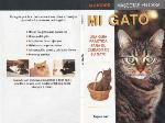 Conviviendo Con Mi Gato