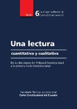 Una lectura cuantitativa y cualitativa de las decisiones del Tribunal Constitucional a la primera Corte Constitucional