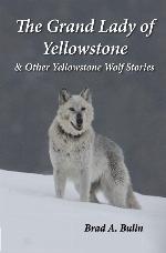 The Grand Lady of Yellowstone: &amp; Other Yellowstone Wolf Stories