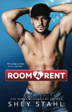 Room 4 Rent: A Steamy Romantic Comedy