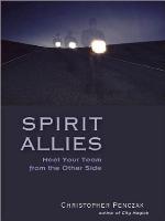 Spirit Allies: Meet Your Team from the Other Side