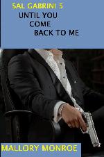 Until You Come Back To Me, Book 5