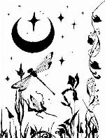 O Mistério da Estrela