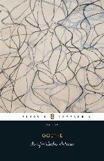 As Afinidades Eletivas (Em Portugues Do Brasil)