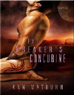 The Breaker's Concubine