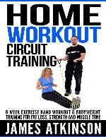 Home workout circuit training 6 week exercise band workout \& bodyweight training - PDFDrive.com