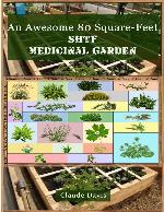 An Awesome 80 Square Feet SHTF Medicinal Garden