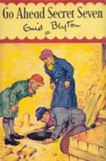 Go Ahead, Secret Seven