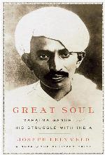 Great Soul: Mahatma Gandhi and His Struggle With India