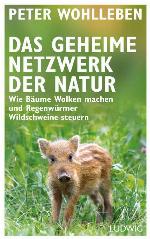 Das geheime Netzwerk der Natur