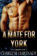 A Mate for York