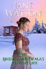 The Bride's Christmas Adventure