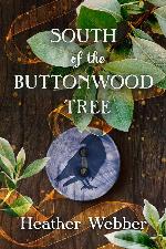 South of the Buttonwood Tree